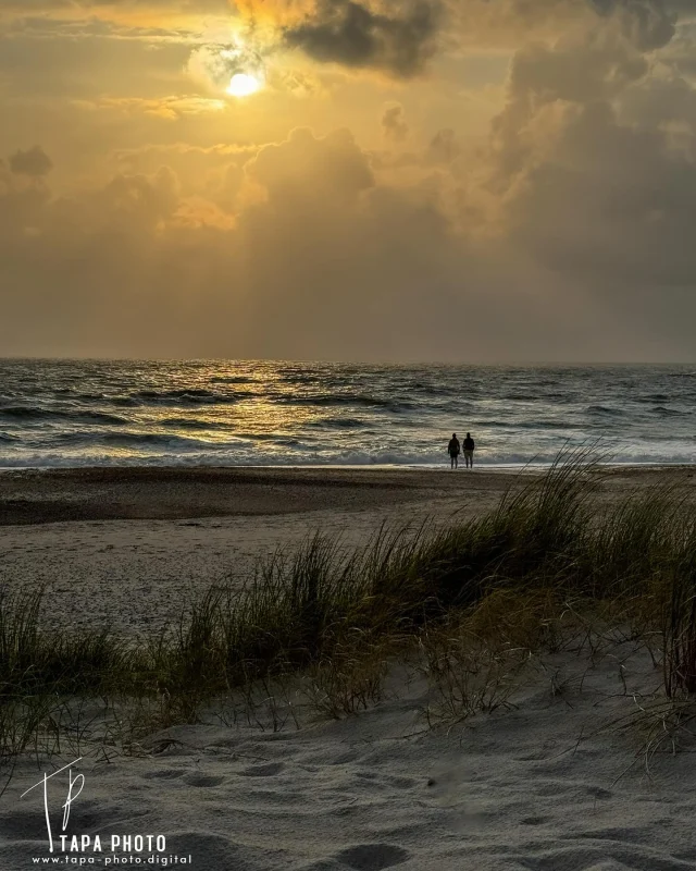 Beautiful evening at the west coast of Denmark 🇩🇰 taking a deep breath of the wild north sea wind and salt. Watching out to the endless ocean.
———————————-
#northsea #nordsee #vesterhavet #sonnenuntergang #sunset #naturephotography #strand #dünen #denmark #dänemark #danmark #hvidesande #ringkøbing #travelgram #wanderlust #travelphotography #tapaphoto #danish #danishwestcoast