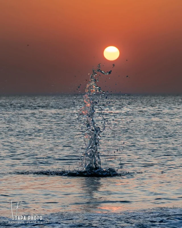 Embracing serenity at Denmark’s rugged West Coast where every sunset paints a new masterpiece. 🌅 Caught this fleeting moment when the ocean reached for the sun, reminding us that beauty is often found in transience.

 #DanishSunset #NorthSeaMagic #naturelovers #sunset #sonnenuntergang #NorthSea #Nordsee #denmark #dänemark #danmark #vesterhavet #westcoast #westküste #travelgram #wanderlust #beach #beachsunset #hvidesande #bjerregård #ringkøbing #jylland #naturephotography #tapaphoto #sehnsuchtnachmeer